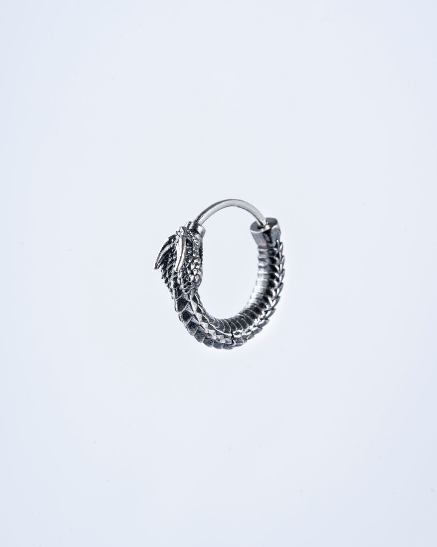 Boucles d oreilles photographiees en gros plan